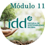 Modulo 11